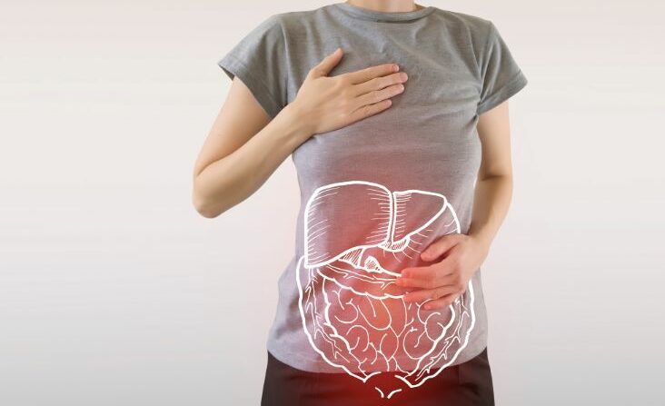 stress and the digestive system